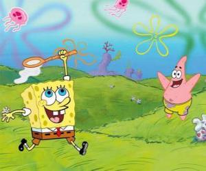 yapboz SpongeBob ve Patrick Yıldızlı Bikini alt denizanası yakalamak için çalışıyor